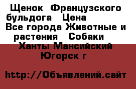 Щенок  Французского бульдога › Цена ­ 35 000 - Все города Животные и растения » Собаки   . Ханты-Мансийский,Югорск г.